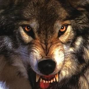 Meet your Posher, Teri